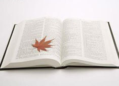 华盛顿战平西汉姆联，继续保持不败