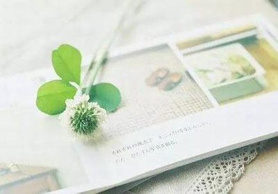 沃特福德主场不敌纽卡斯尔联，遭遇英超两连败