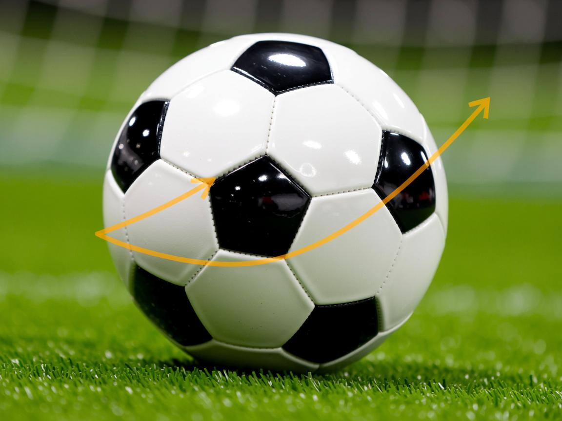 od体育官网入口-女子仰泳实现历史性突破，女子仰泳世界排名